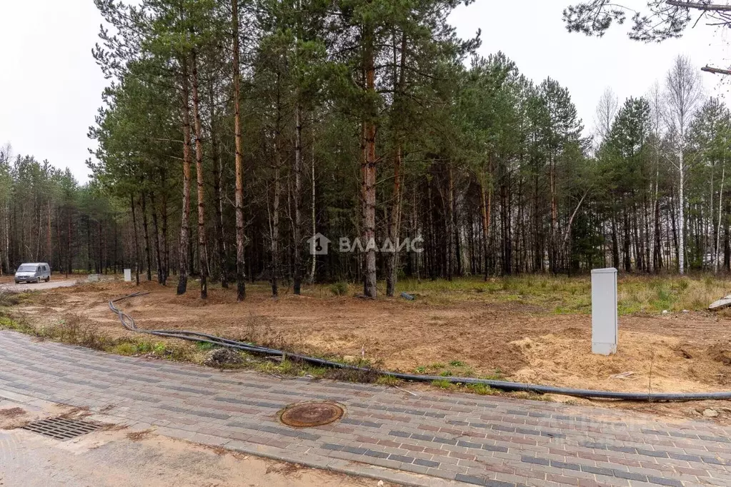 Участок в Владимирская область, Ковровский район, Доброград ... - Фото 1