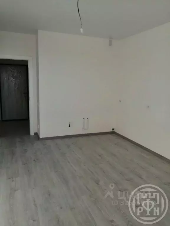 Студия Ленинградская область, Всеволожский район, Заневское городское ... - Фото 2