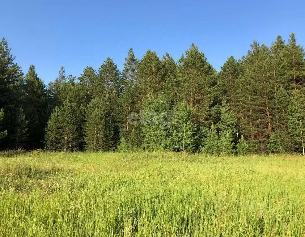 Участок в Свердловская область, Белоярский муниципальный округ, пос. ... - Фото 2