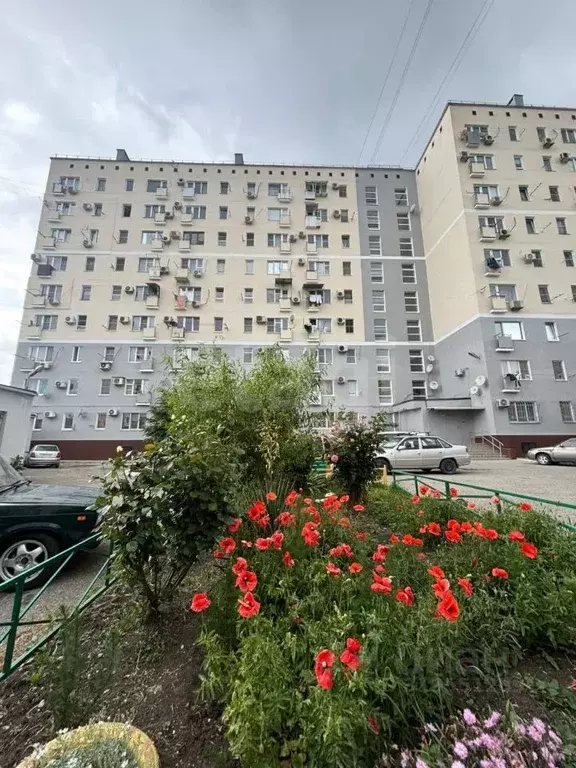 1-к кв. Краснодарский край, Новороссийск Мысхакское ш., 50 (22.0 м) - Фото 1