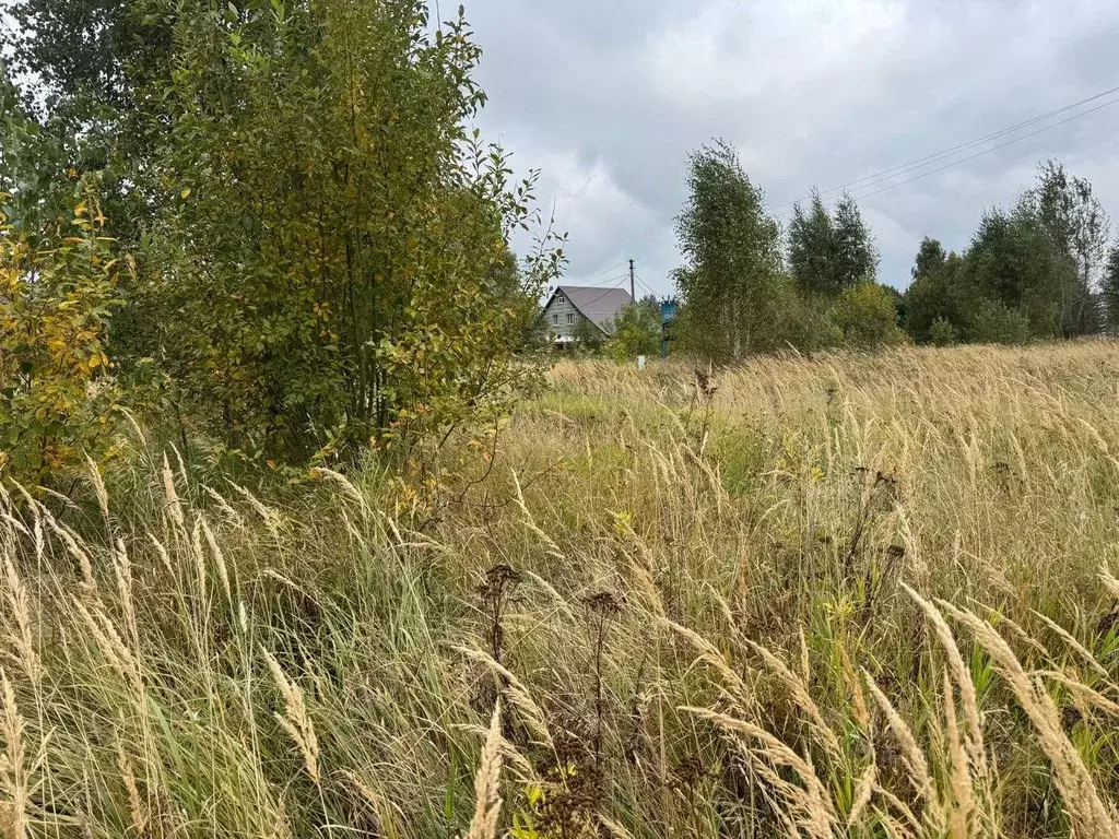 Участок в Московская область, Богородский городской округ, д. Новое ... - Фото 1