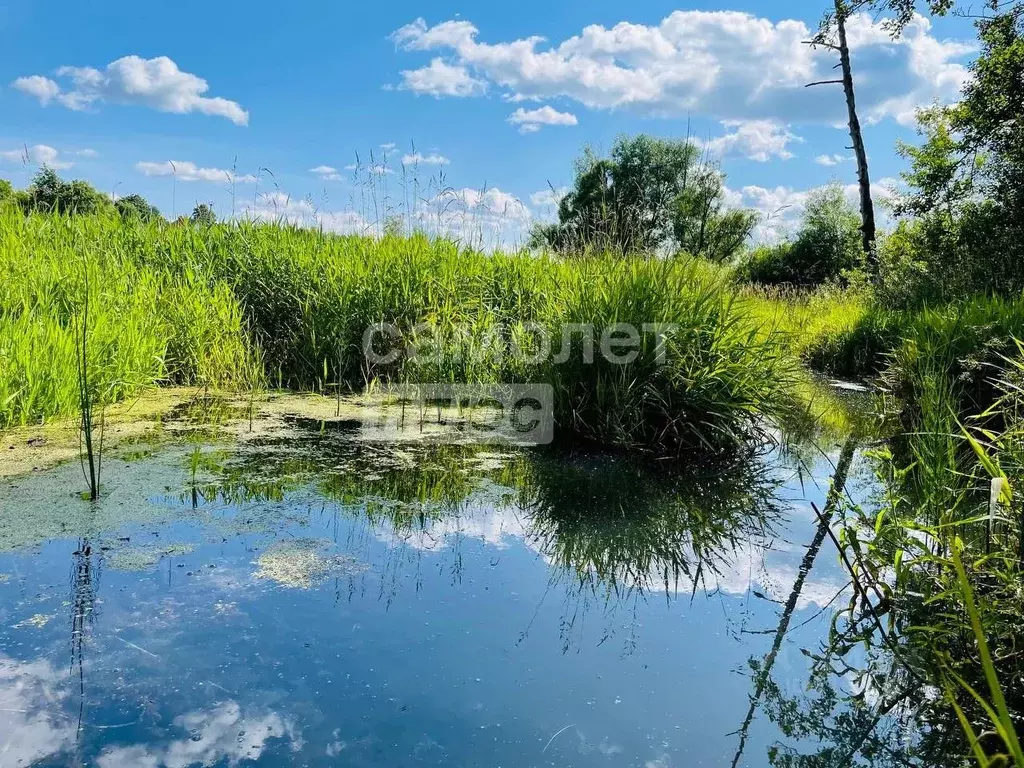 Дом в Москва Лукошкино СНТ, 230 (50 м) - Фото 1