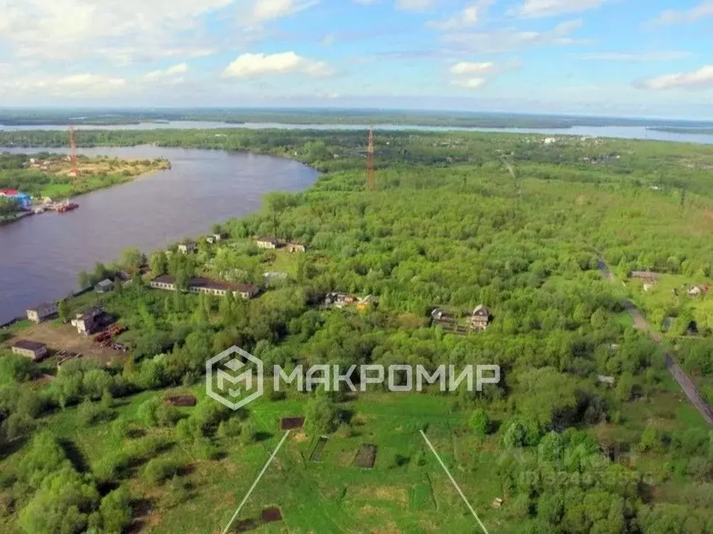 Участок в Архангельская область, Архангельск Бочага садовое ... - Фото 2