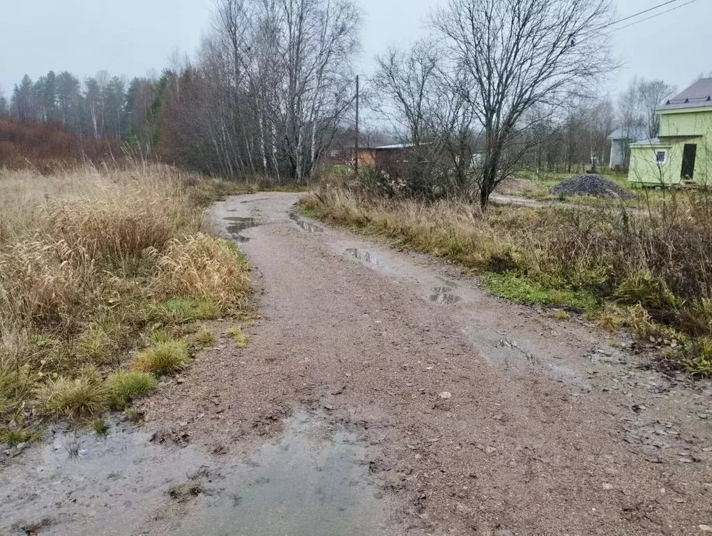 Участок в Ленинградская область, Выборгский район, Советское городское ... - Фото 1