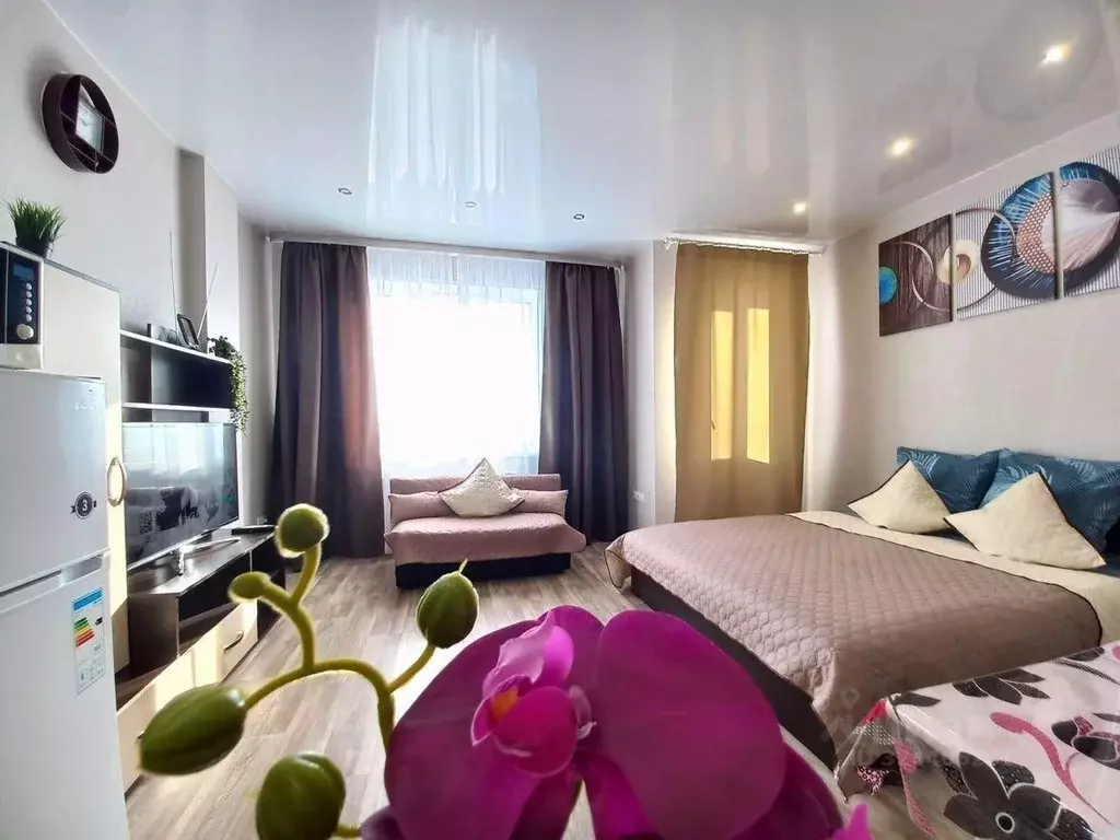 1-к кв. Новосибирская область, Бердск ул. Карла Маркса, 1/1 (32.0 м) - Фото 1