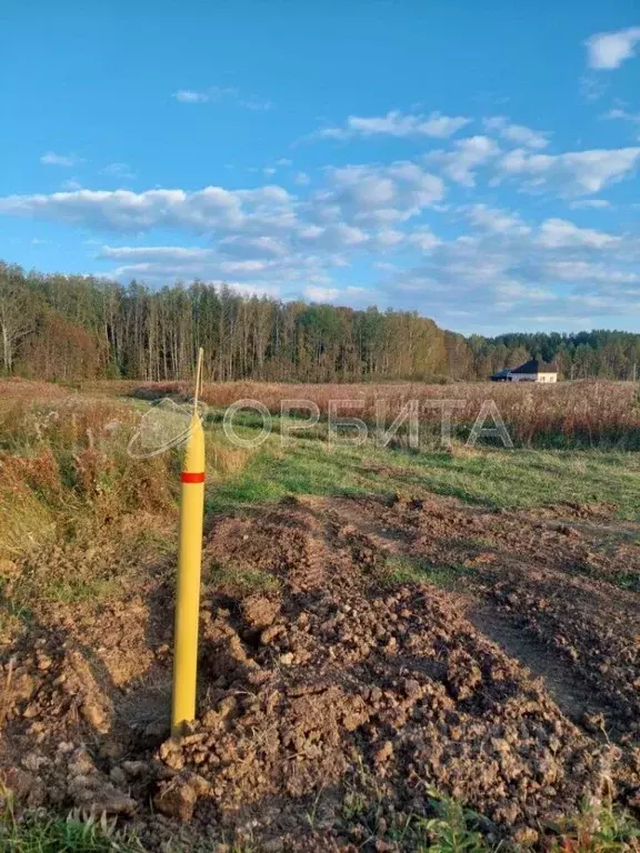 Участок в Тюменская область, Тюменский муниципальный округ, с. Кулига ... - Фото 2