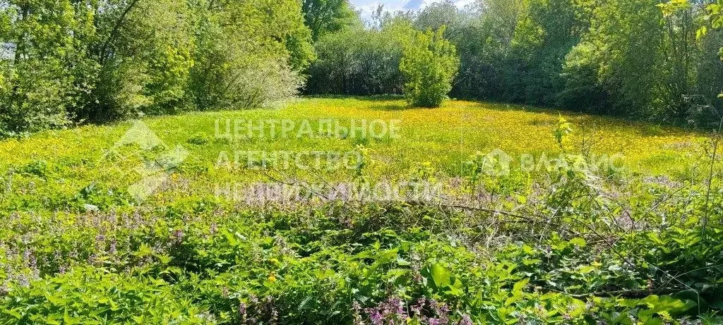 Участок в Рязанская область, Рязанский муниципальный округ, д. ... - Фото 1