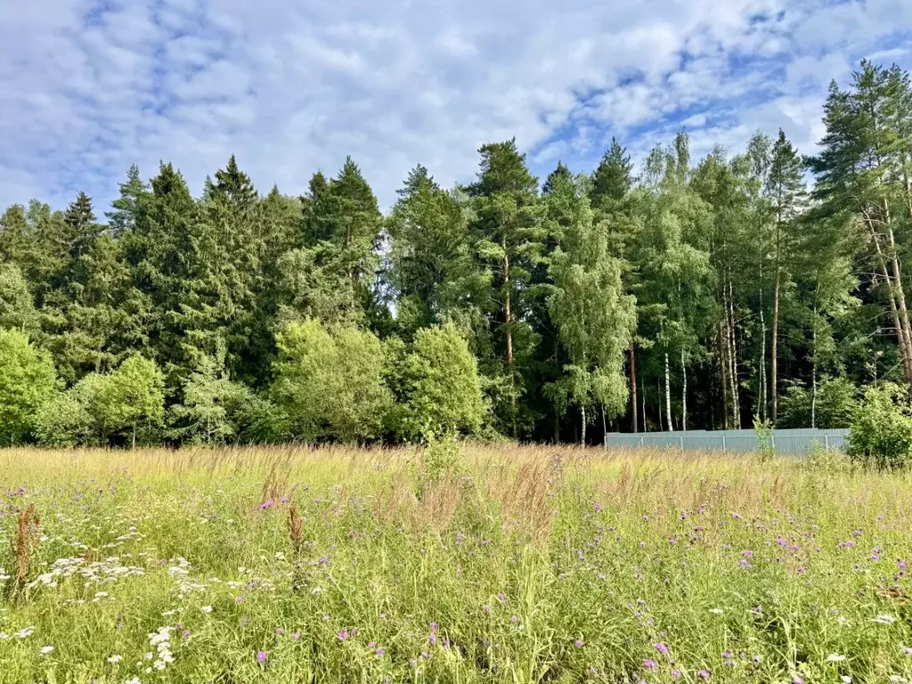 Участок в Московская область, Пушкино Чистые Пруды-3 кп, 136 (9.0 ... - Фото 2