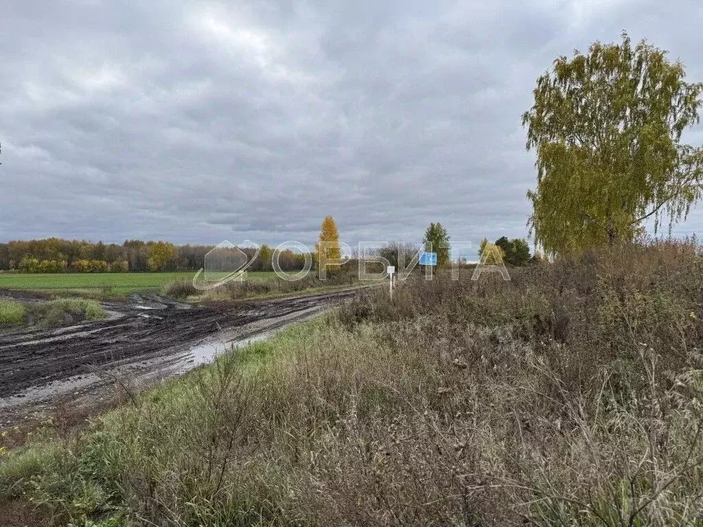 Участок в Тюменская область, Тюменский муниципальный округ, с. Успенка ... - Фото 1