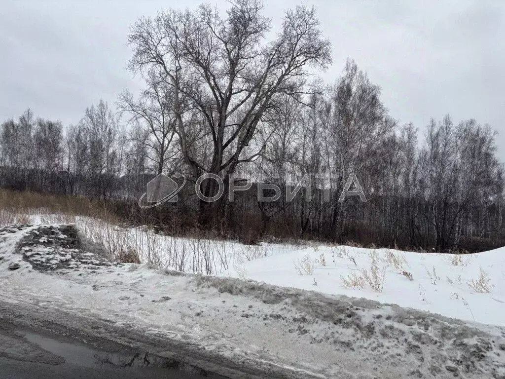 Участок в Тюменская область, Тюменский муниципальный округ, с. Кулига  ... - Фото 2