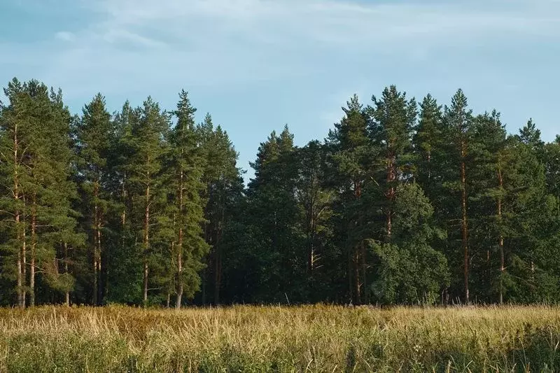 Участок в Тверская область, Конаковский муниципальный округ, ... - Фото 1