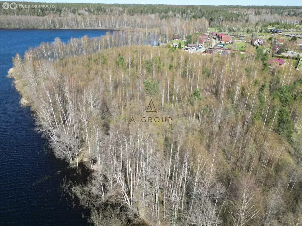 Участок в Выборгский район, Приморское городское поселение, дачное ... - Фото 1