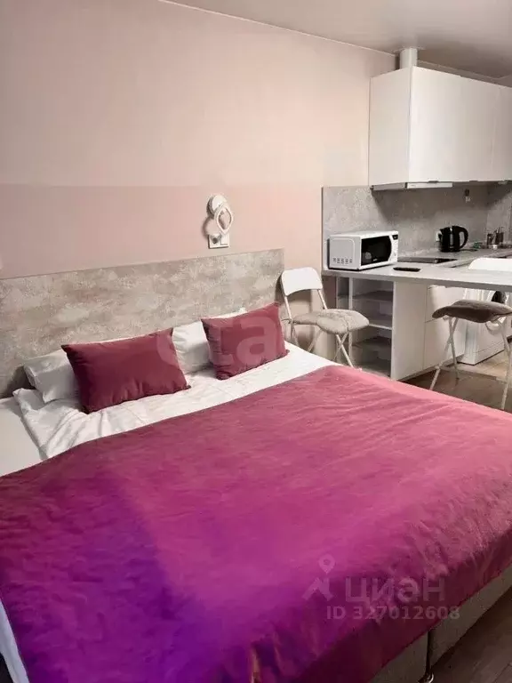 Студия Санкт-Петербург Детский пер., 2 (29.9 м) - Фото 0