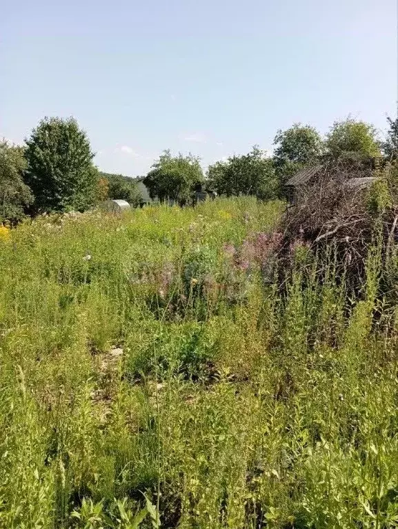 Участок в Нижегородская область, Нижний Новгород Победа СНТ, 41 (4.7 ... - Фото 1