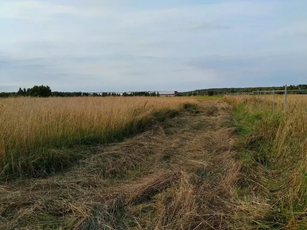 Участок в Московская область, Егорьевск муниципальный округ, д. Юрцово ... - Фото 1