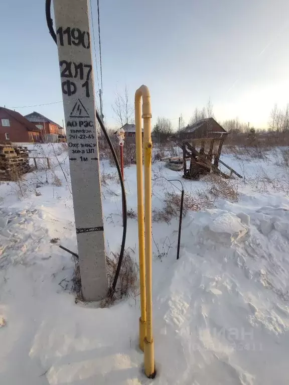 Участок в Новосибирская область, Новосибирский район, Станционный ... - Фото 1