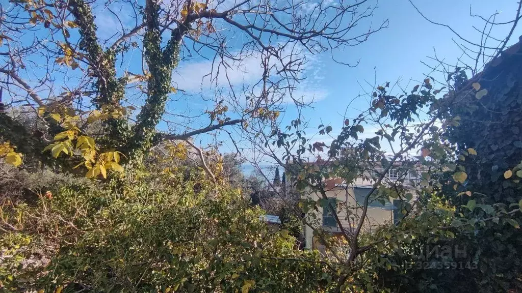 Участок в Крым, Ялта муниципальный округ, Кореиз пгт ул. Южная, 48Д ... - Фото 1