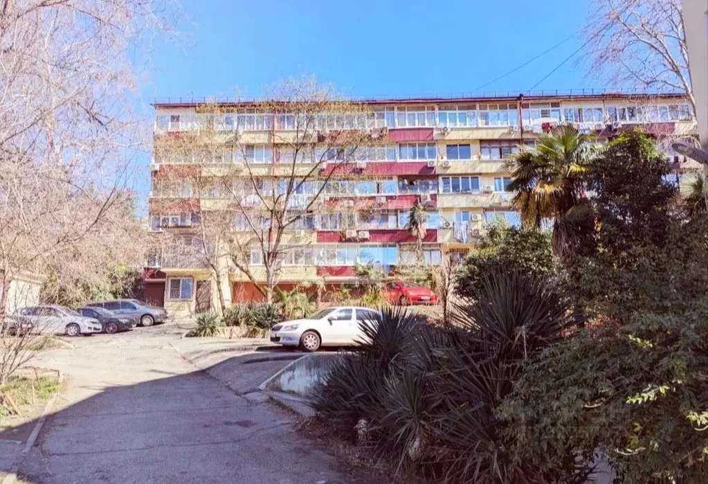 1-к кв. Краснодарский край, Сочи Донская мкр, ул. Чехова, 50 (28.0 м) - Фото 2