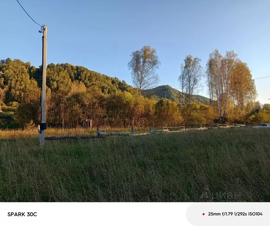 Участок в Алтай, Майминский район, Соузгинское с/пос, пос. Черемшанка ... - Фото 2