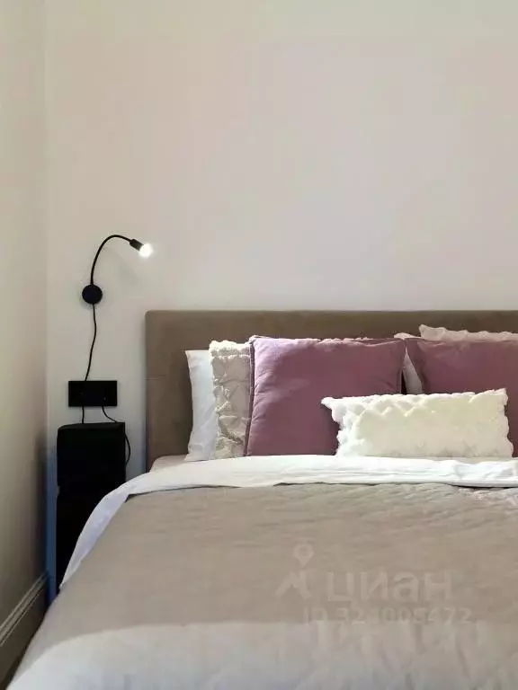 1-к кв. Красноярский край, Красноярск Свободный просп., 66Н (26.0 м) - Фото 2