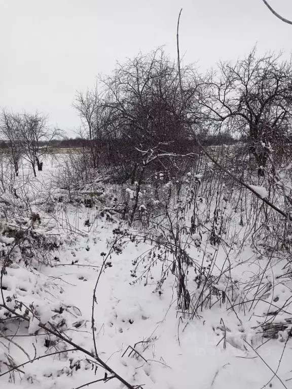 Дом в Белгородская область, Новооскольский муниципальный округ, с. ... - Фото 0