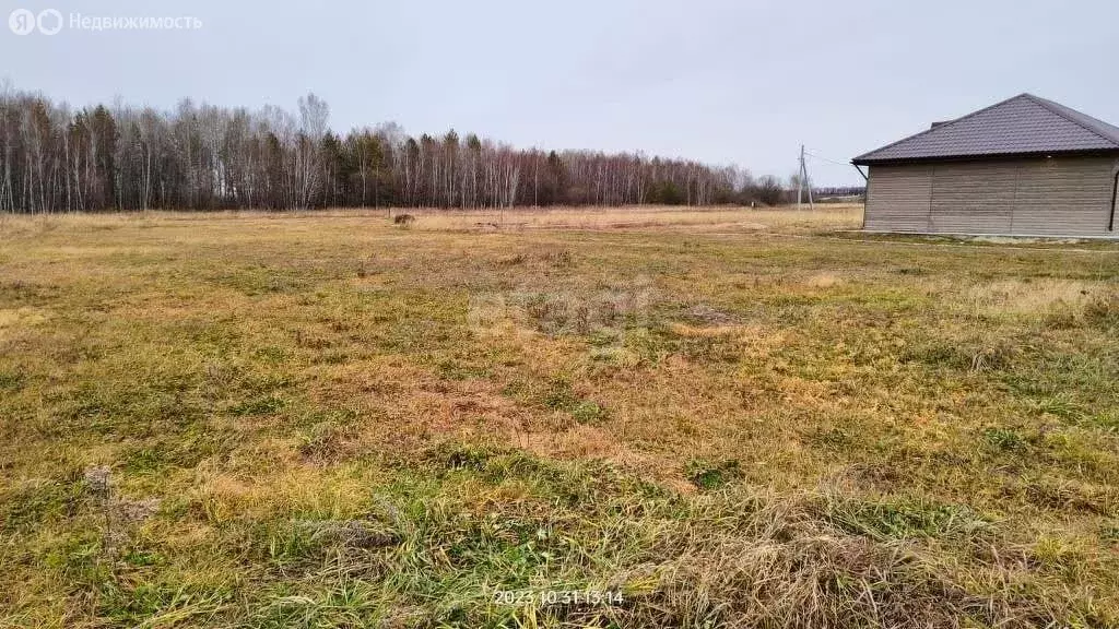 Амурская Область Купить Земельный Участок