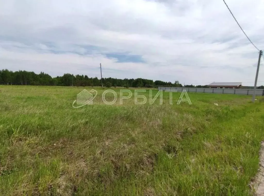 Участок в Тюменская область, Нижнетавдинский район, Царицыно СНТ  (9.5 ... - Фото 1