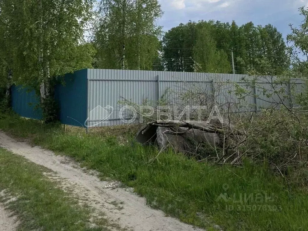 Участок в Тюменская область, Нижнетавдинский район, Фортуна СТ ул. 7-я ... - Фото 1