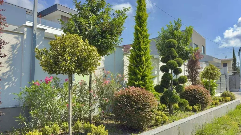 Дом в Краснодарский край, Сочи Сириус пгт, ул. Поселок Мирный (320 м) - Фото 2