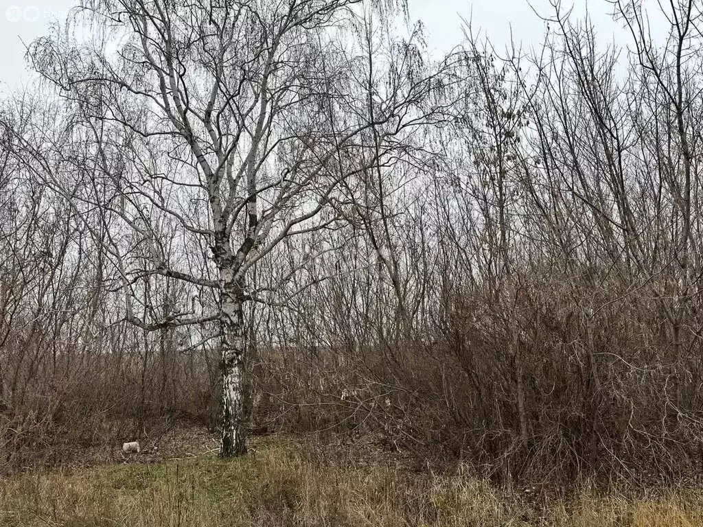 Участок в село Тимашево, Первомайская улица (14 м) - Фото 2