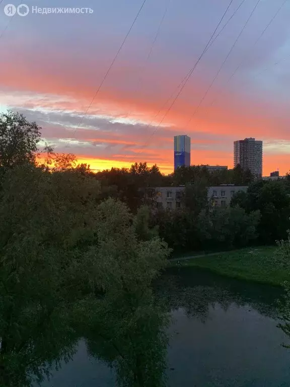 1-комнатная квартира: Санкт-Петербург, улица Костюшко, 74 (35.6 м) - Фото 2