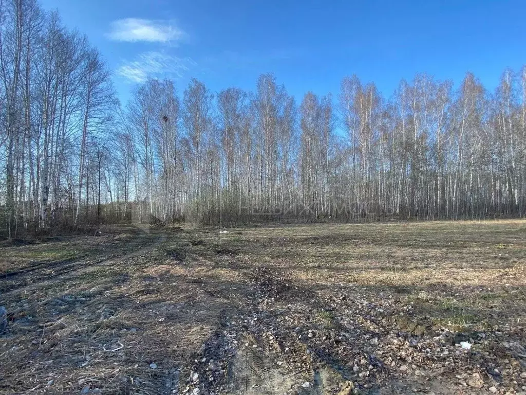 Участок в Тюменская область, Тюменский район, д. Елань  (7.0 сот.) - Фото 1