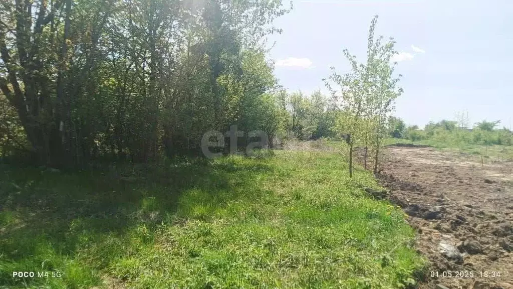 Участок в Калининградская область, Калининград Дружба-Девау СТ, ул. ... - Фото 1