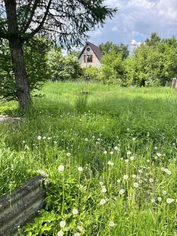 Участок в Москва д. Киселево, Газопровод СНТ, 86 (6.0 сот.) - Фото 1