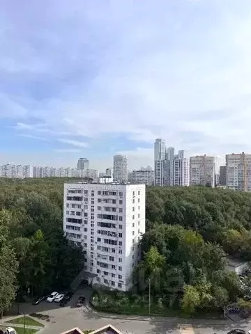 Студия Москва ул. Академика Павлова, 38к1 (27.0 м) - Фото 1