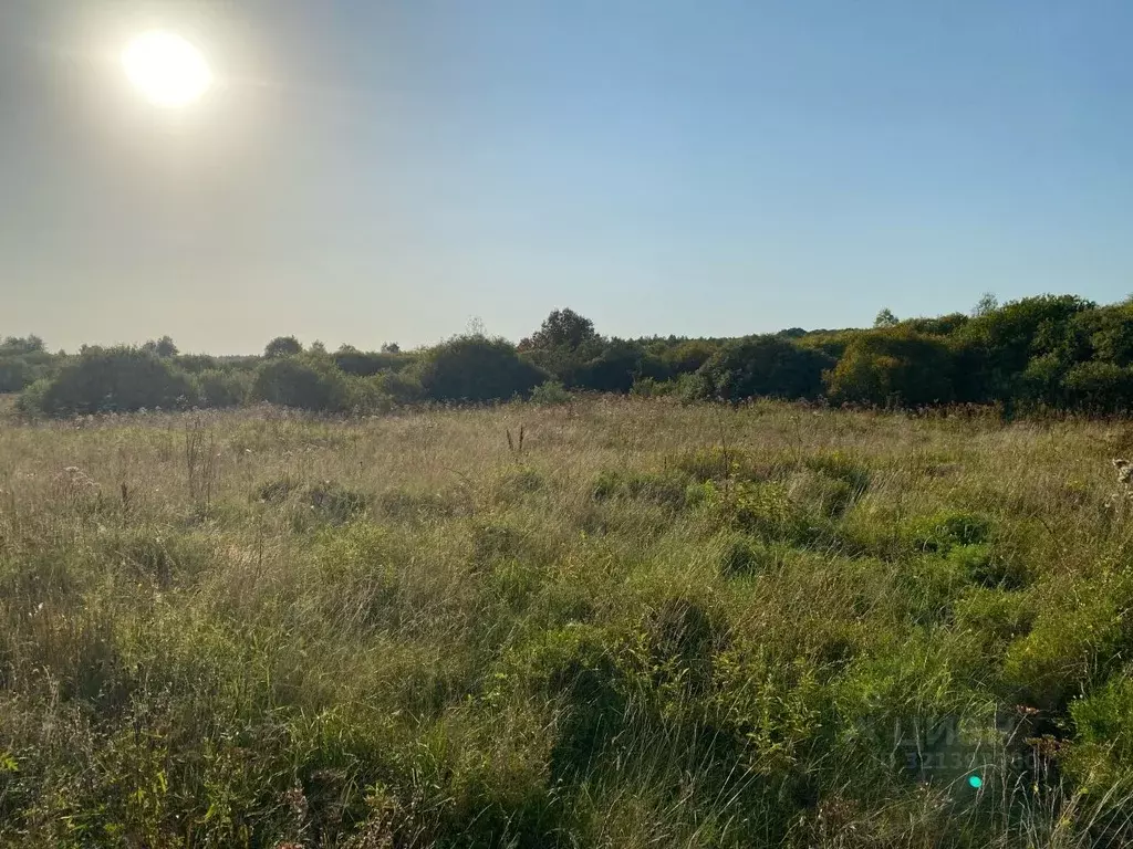 Участок в Калужская область, Боровский муниципальный округ, ... - Фото 2
