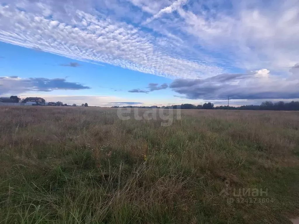 Участок в Владимирская область, Покров городской округ, пос. Нагорный ... - Фото 1
