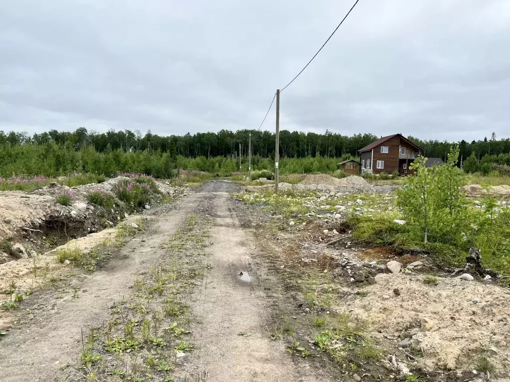 Участок в Карелия, Петрозаводск ул. Кантеле (9.5 сот.) - Фото 1