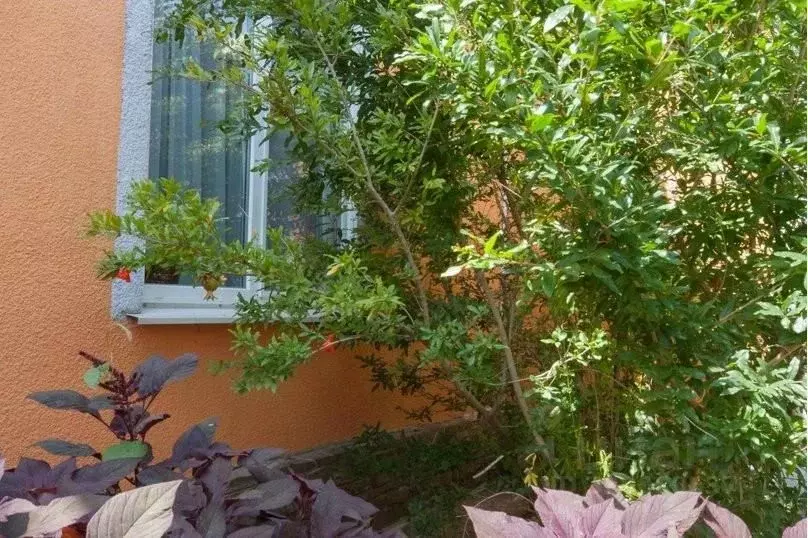 Дом в Крым, Судак ул. Мастеров, 4 (70 м) - Фото 2