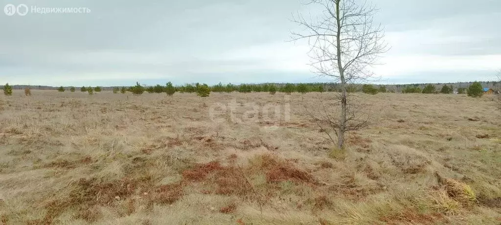 Участок в село Фирсово, микрорайон Рощино, Парковая улица (8 м) - Фото 0