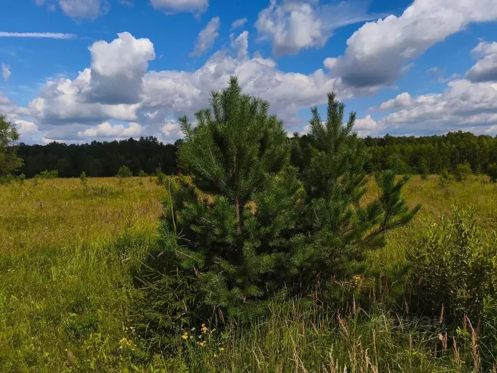Участок в Тверская область, Калининский муниципальный округ, д. ... - Фото 1