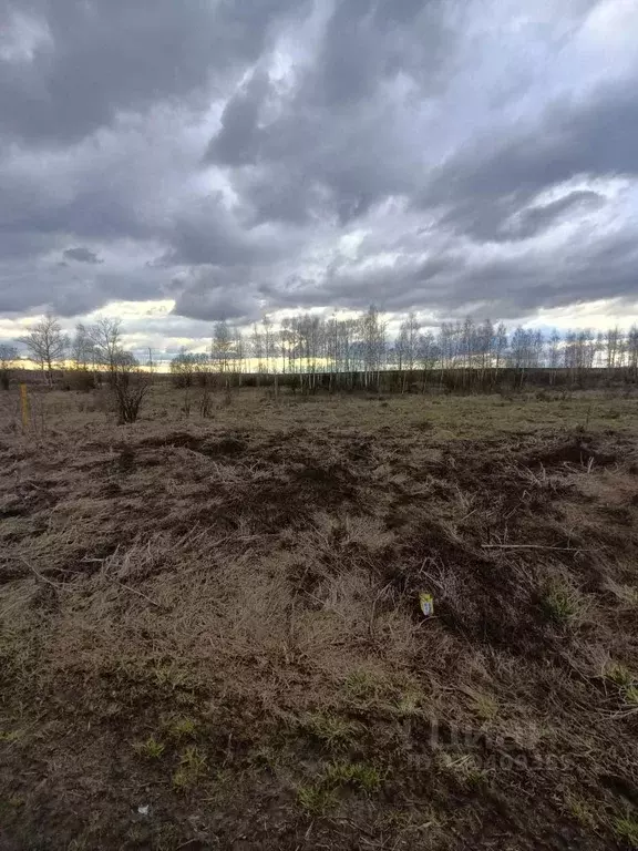 Участок в Тульская область, Тула городской округ, пос. Шатск  (14.68 ... - Фото 1