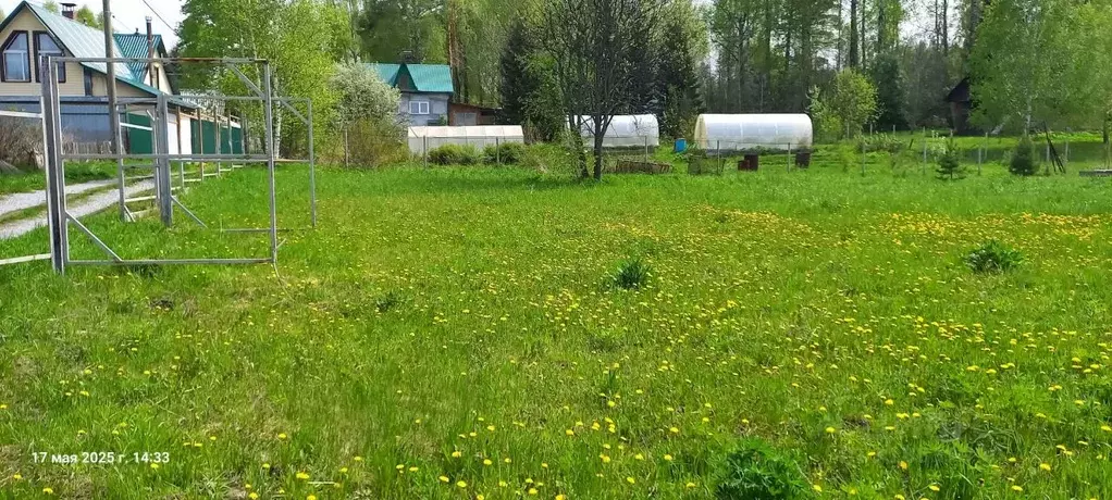 Участок в Новосибирская область, Новосибирский район, Барышевский ... - Фото 1