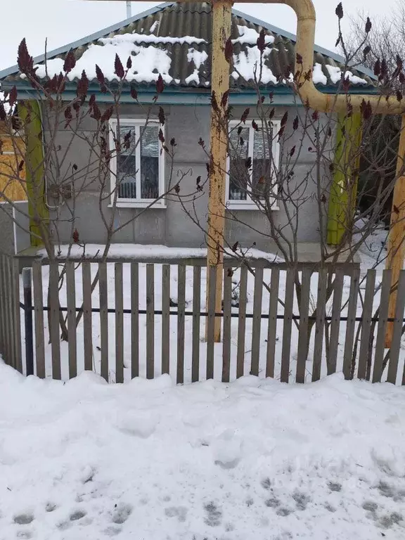 Дом в Воронежская область, Таловский район, пос. Абрамовка ул. Чкалова ... - Фото 1