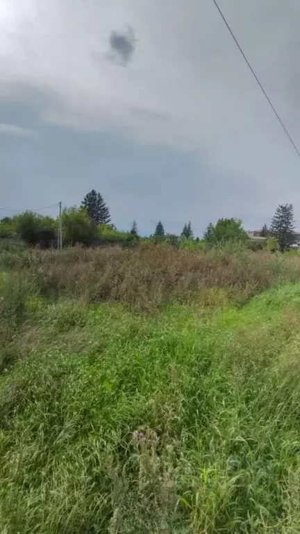 Участок в Омская область, Омский район, пос. Новоомский  (7.0 сот.) - Фото 1