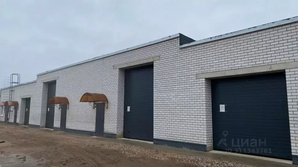Производственное помещение в Новгородская область, Новгородский район, ... - Фото 0