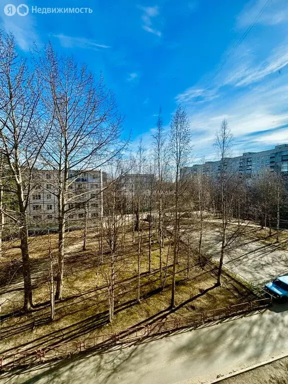 1к в 3-комнатной квартире (16.6 м) - Фото 1