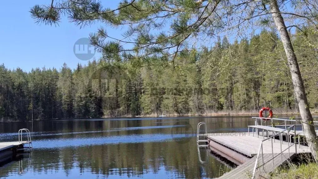 Дом в Ленинградская область, Выборгский район, Красносельское с/пос, ... - Фото 1