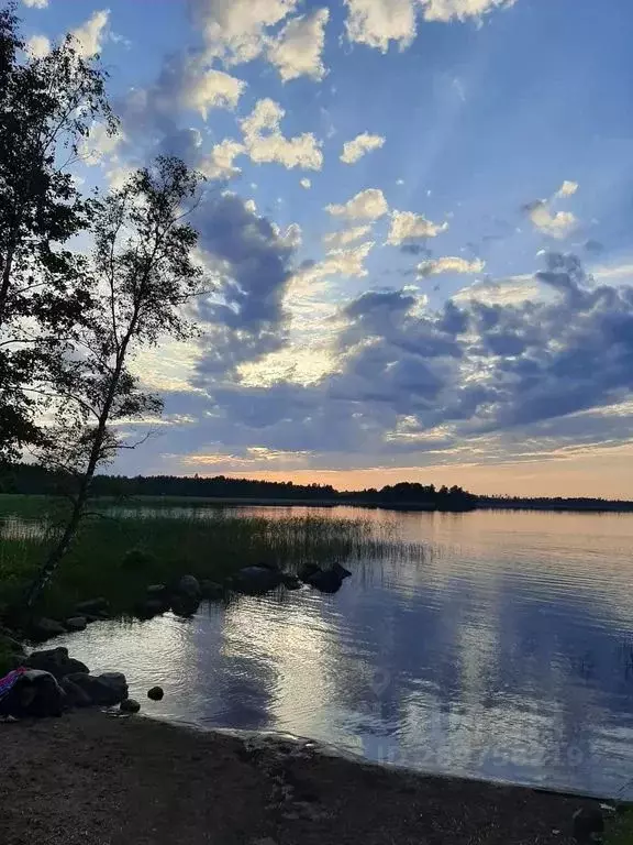 Дом в Ленинградская область, Приозерский район, Ларионовское с/пос, ... - Фото 1