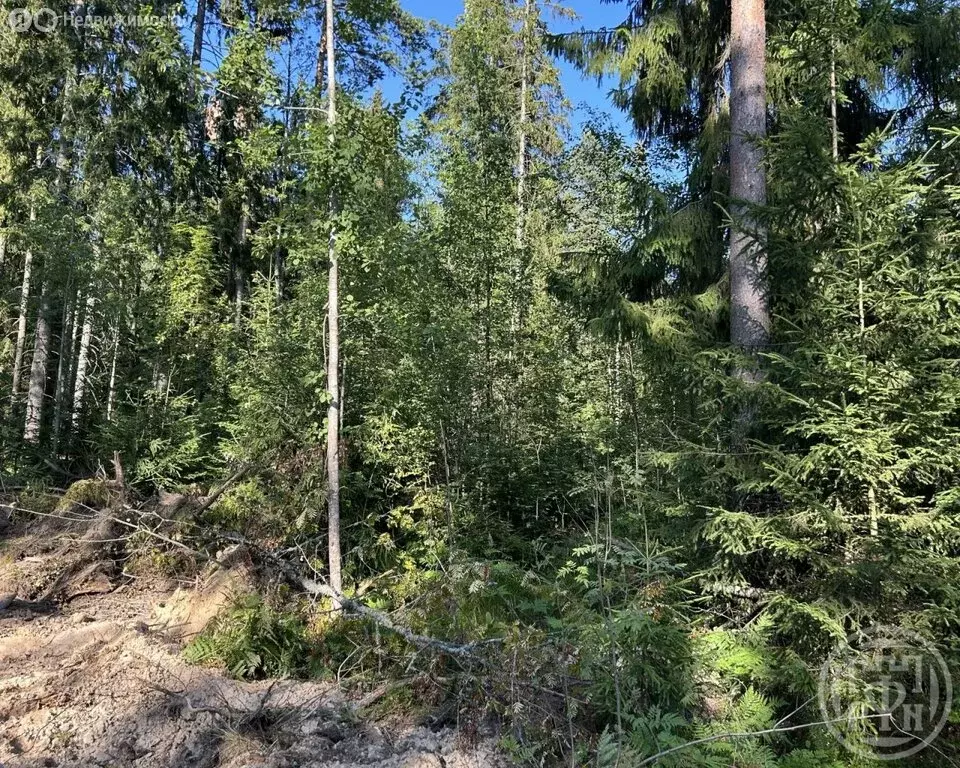 Участок в Сертолово, СНТ Медное Озеро-3 (21 м) - Фото 2